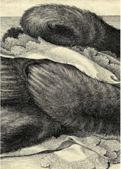 Catalogue 53